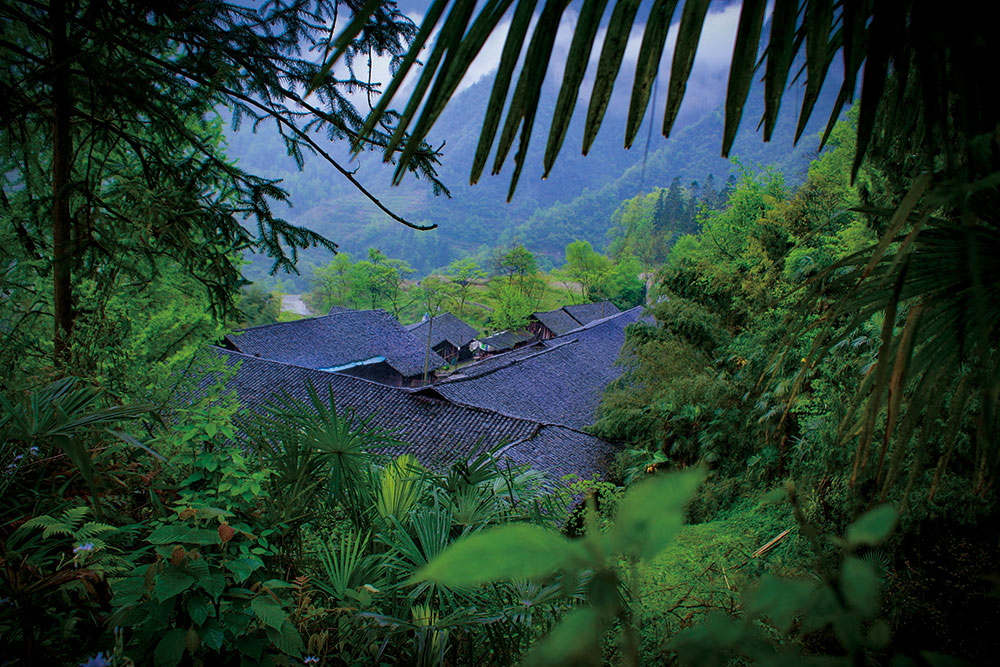 生產(chǎn)基地